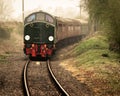 D306 Atlantic Conveyer With Train Of Coaches