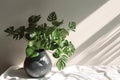 3d background drink food healthy organic luxury space shadow leaf sunlight dappled tablecloth cream vase ceramic gray plant