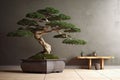 3d background product furniture appliance decoration design interior sunlight floor parquet brown stand pot concrete old tree