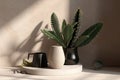 3d background product treatment beauty skincare cosmetic luxury wall shadow leaf sunlight tree rubber indian cactus pot gray black
