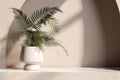 3d background product treatment beauty skincare cosmetic luxury wall shadow leaf sunlight vase ceramic white tree fern green