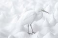 3d background in white colors. series of backgrounds for design. copy space