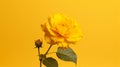 3d background in yellow colors. series of backgrounds for design. copy space