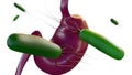A 3d bacterial HELICOBACTER PYLORI infection within the gastric. Royalty Free Stock Photo