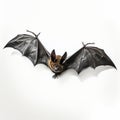 3d Bat On White Background: A Wildlife Muralism Inspired By Joel Robison And Alastair Magnaldo Royalty Free Stock Photo