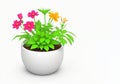 3d beautiful flower, nature flowers and plant pot illustration isolated on white background, copy space Royalty Free Stock Photo