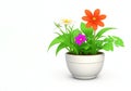 3d beautiful flower, nature flowers and plant pot illustration isolated on white background, copy space Royalty Free Stock Photo