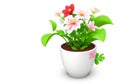 3d beautiful flower, nature flowers and plant pot illustration isolated on white background, copy space Royalty Free Stock Photo