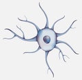 3d Blue human neuron isolated on white background. Realistic illustration. Template