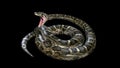 3d Boa Constrictor