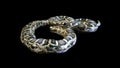 3d Boa Constrictor