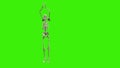 3D Bone Green screen thriller dance 4K