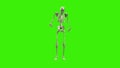 3D Bone Green screen Michael Jackson dance 4K