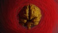 3d brain enclosed by intense circular red motion Royalty Free Stock Photo