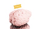 3d Brain with a signboard and word hangover. Royalty Free Stock Photo