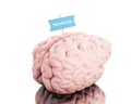 3d Brain with a signboard and word headache.