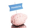 3d Brain with a signboard and word headache.