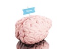 3d Brain with a signboard and word stress. Royalty Free Stock Photo