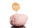 3d Brain with a signboard and word stress. Royalty Free Stock Photo