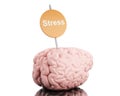 3d Brain with a signboard and word stress.