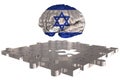 Israel Flag Brain Concept for Silver of one missing puzzles