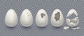 3d broken egg, chicken shell. Isolated break or open eggshell animal bird peel, empty and fragile easter set. Cooking