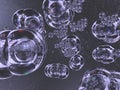 Water Bubbles