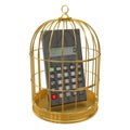 3d Calculator inside golden cage