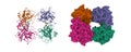 Structure of human beta-tryptase complexed with a synthetic inhibitor with a tropanylamide scaffold.