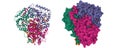 Lactate dehydrogenase complexed with NADH.