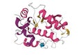 Crystal structure of human egg membrane protein JUNO
