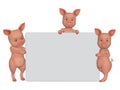 3d cartoon pigs with a blank frame Royalty Free Stock Photo