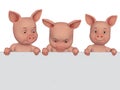 3d cartoon pigs with a blank frame Royalty Free Stock Photo