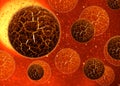 3d cell virus Royalty Free Stock Photo