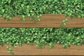 3D ceramic wall tiles. 3D rendering wood and green leaves for wall decor. modern illustration for wall decor.garden.