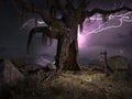 3D CG rendering of Creepy tree