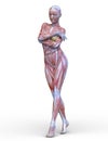 Female lay figure Royalty Free Stock Photo