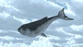 3D CG rendering of Flying whale