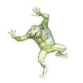 3D CG rendering of Frog human