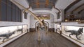 3D CG rendering of Large museum