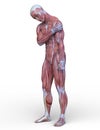 3D CG rendering of muscle man