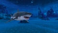 Shark Royalty Free Stock Photo