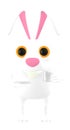 3d character , rabbit with cup and suace