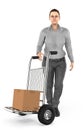 3d character , woman , trolley cart with cardboard box