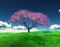 3D Cherry tree in a grassy landscape Royalty Free Stock Photo
