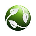 3D circle green leaf ecology nature element vector icon. leaf lo Royalty Free Stock Photo