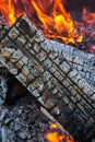 d close up of burnt and charred logs in fire with flames in background Royalty Free Stock Photo