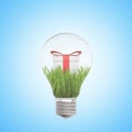 3d closeup rendering of lightbulb with white gift box tied with red ribbon on green grass inside bulb on light-blue Royalty Free Stock Photo