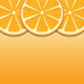 Border illustration of slices of fresh oranges