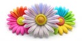 3D colorful daisy flower. Nature elements isolated on white background. 3D rendering. Vector illustration Royalty Free Stock Photo